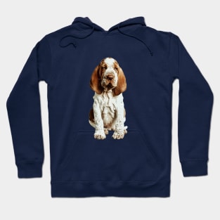 Bracco Italiano puppy dog Hoodie